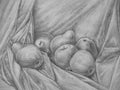 Still Life with apple and pear Ã¢â¬â pencil drawing